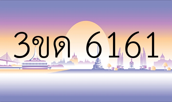 3ขด 6161